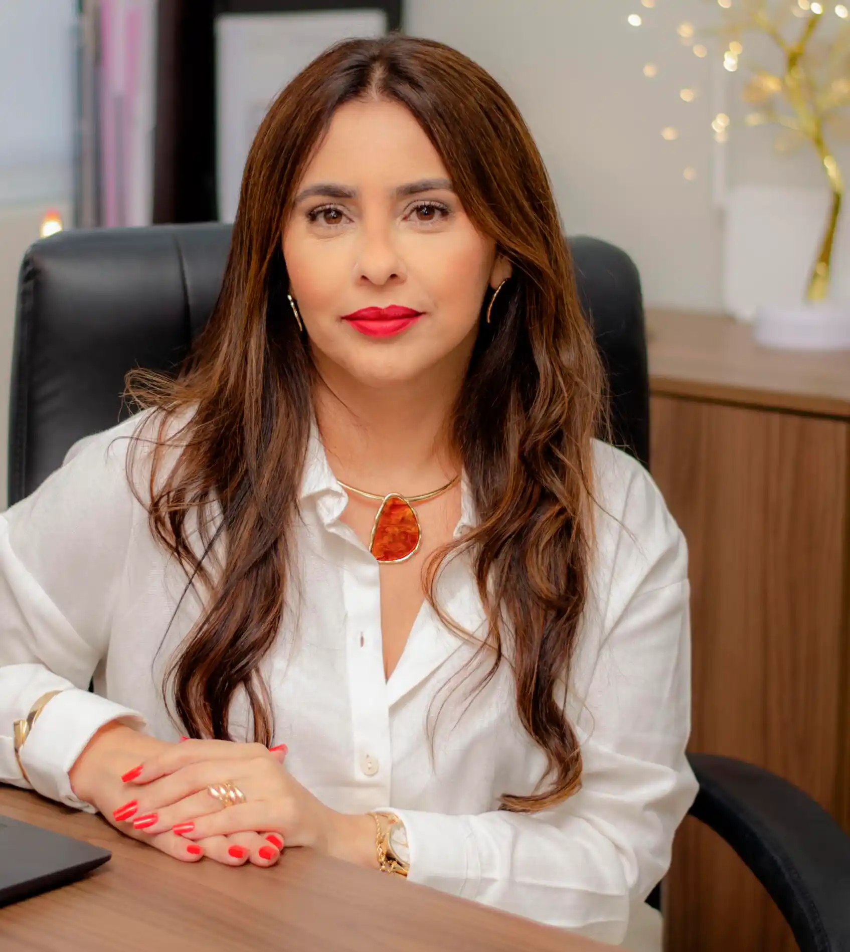 Aline Machado advogada tributarista em Todos os Santos, RJ.